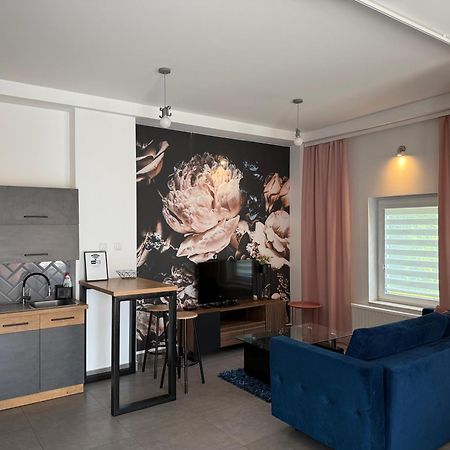 Apartamenty Pod Wierzbami Dwikozy Exterior foto